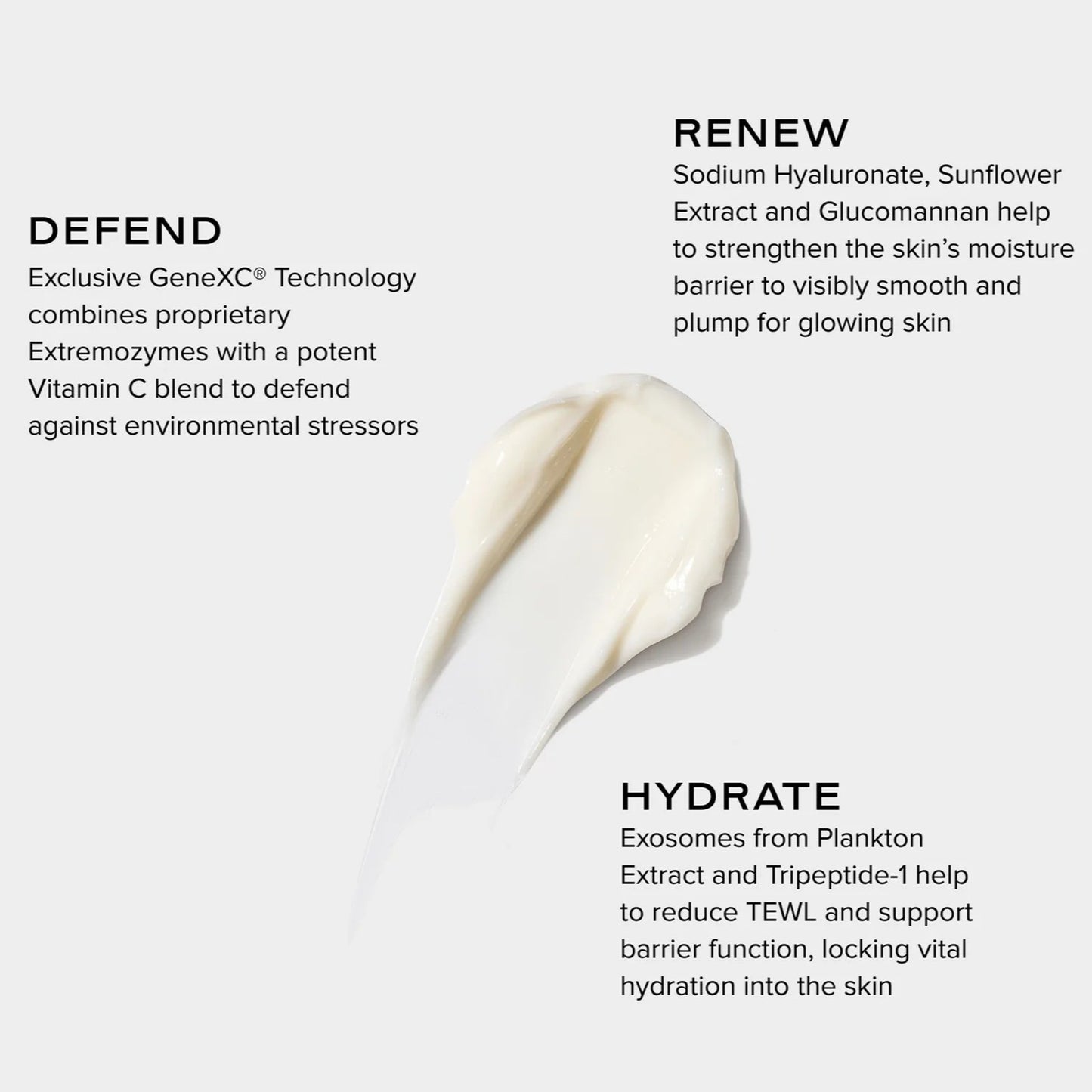 Daily Dynamic Hydrator (50g) | NEW! Renewing, Hydrating, Defends
